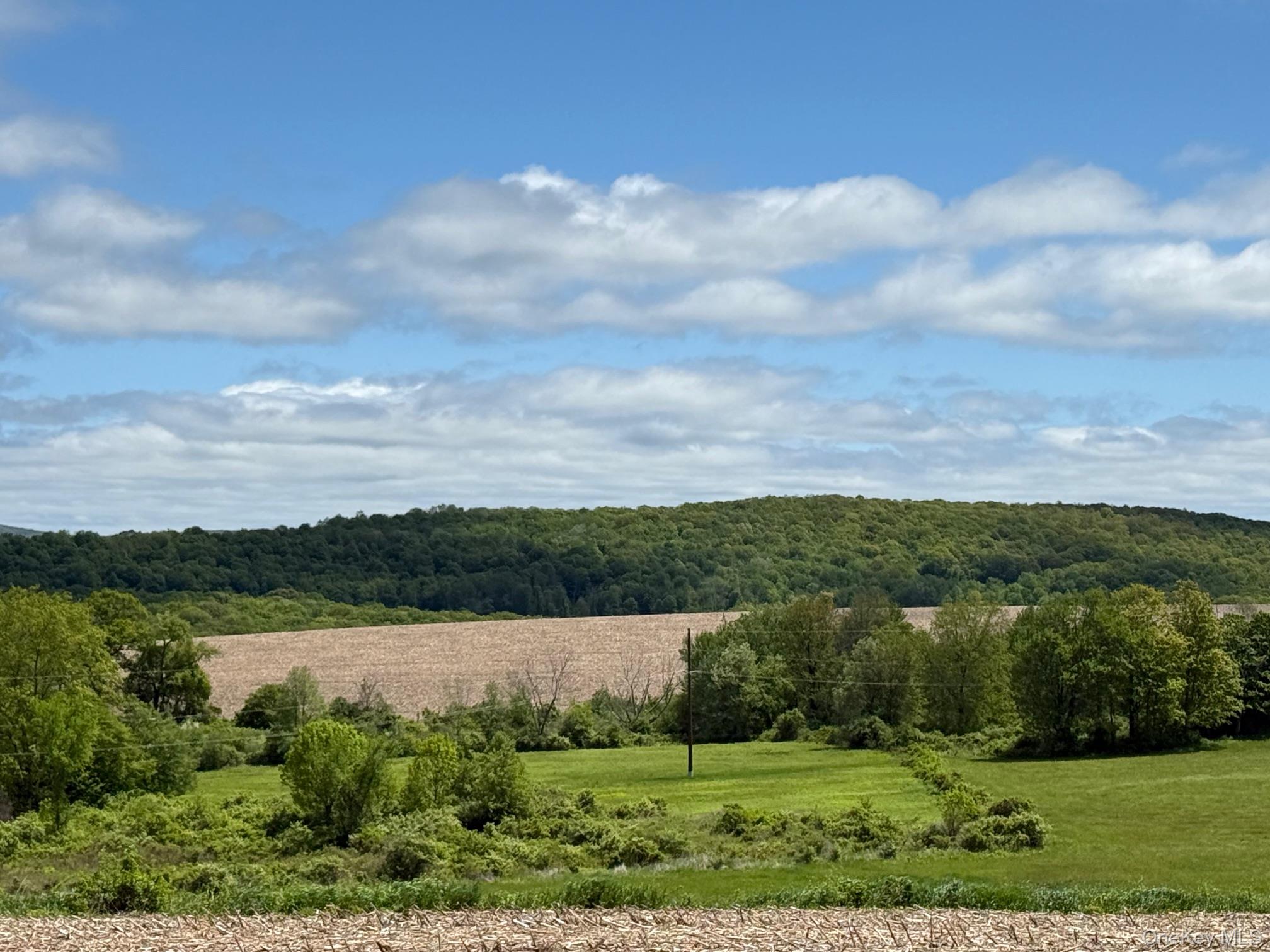 Skunks Misery Road Millerton, NY 12546 - Photo 21 of 23 an aerial view of residential houses with outdoor space and lake view