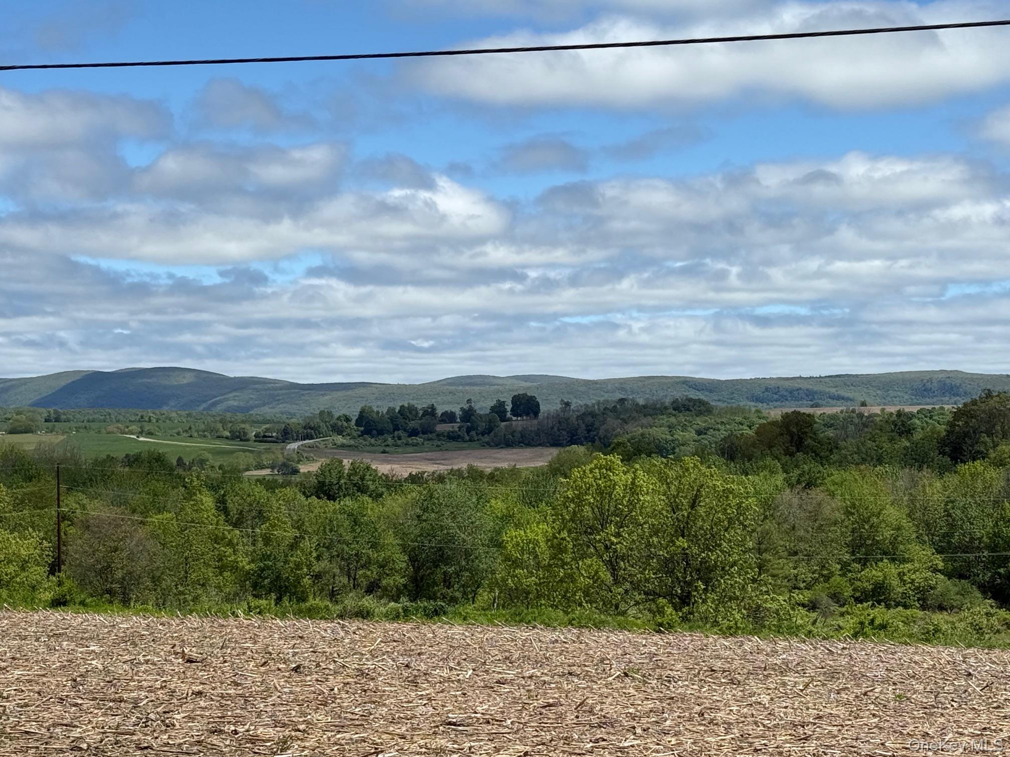 Skunks Misery Road Millerton, NY 12546 - Photo 22 of 23 a view of a city with flower plants and large trees