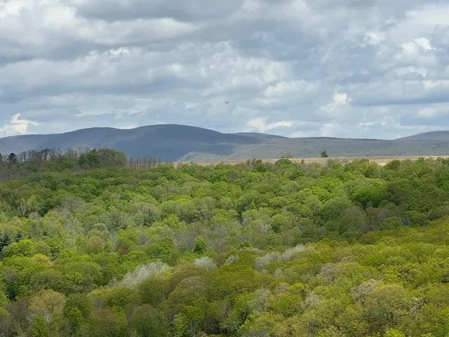 a view of a field with an ocean