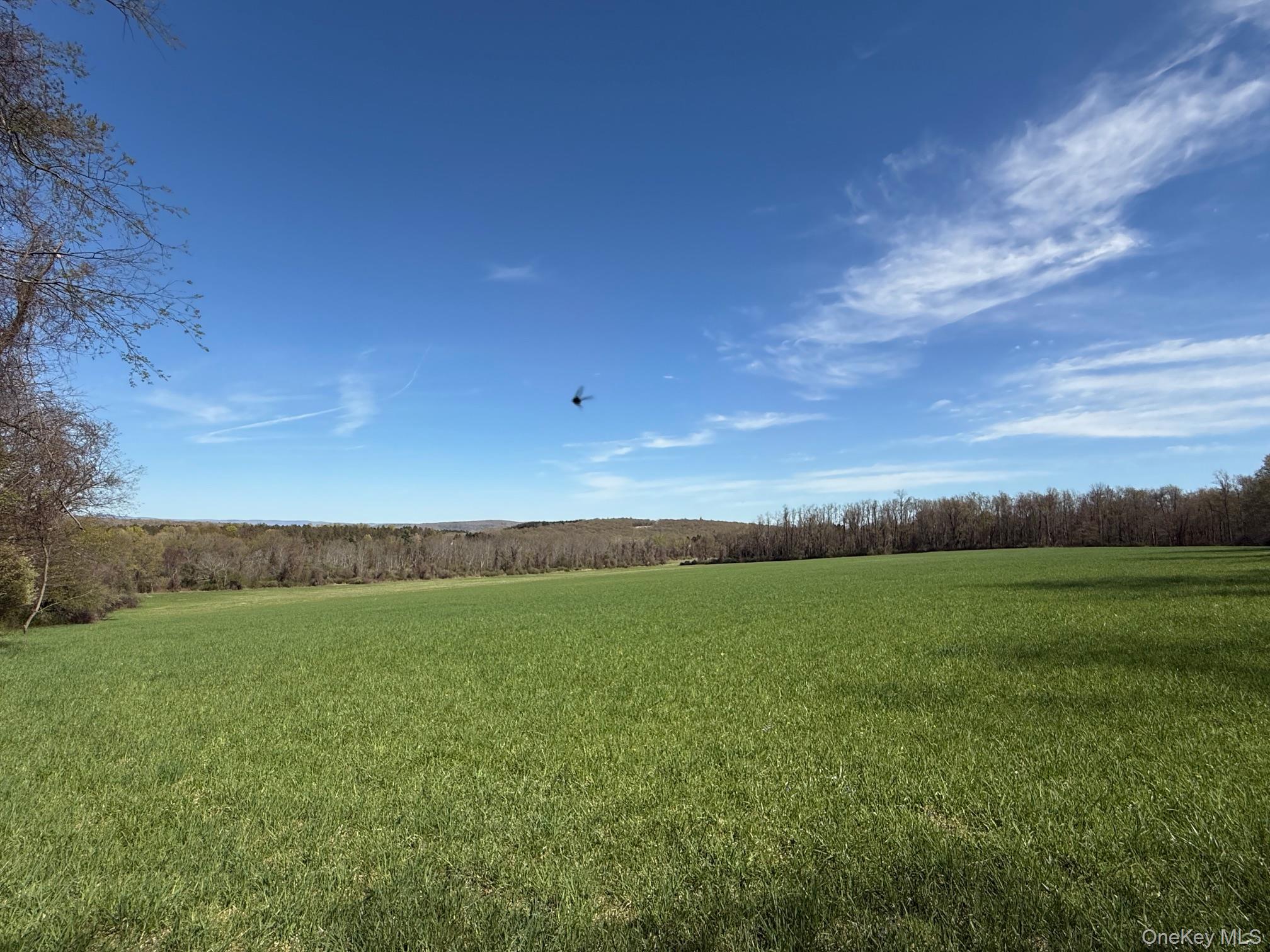 Skunks Misery Road Millerton, NY 12546 - Photo 5 of 23 a view of a field with an ocean