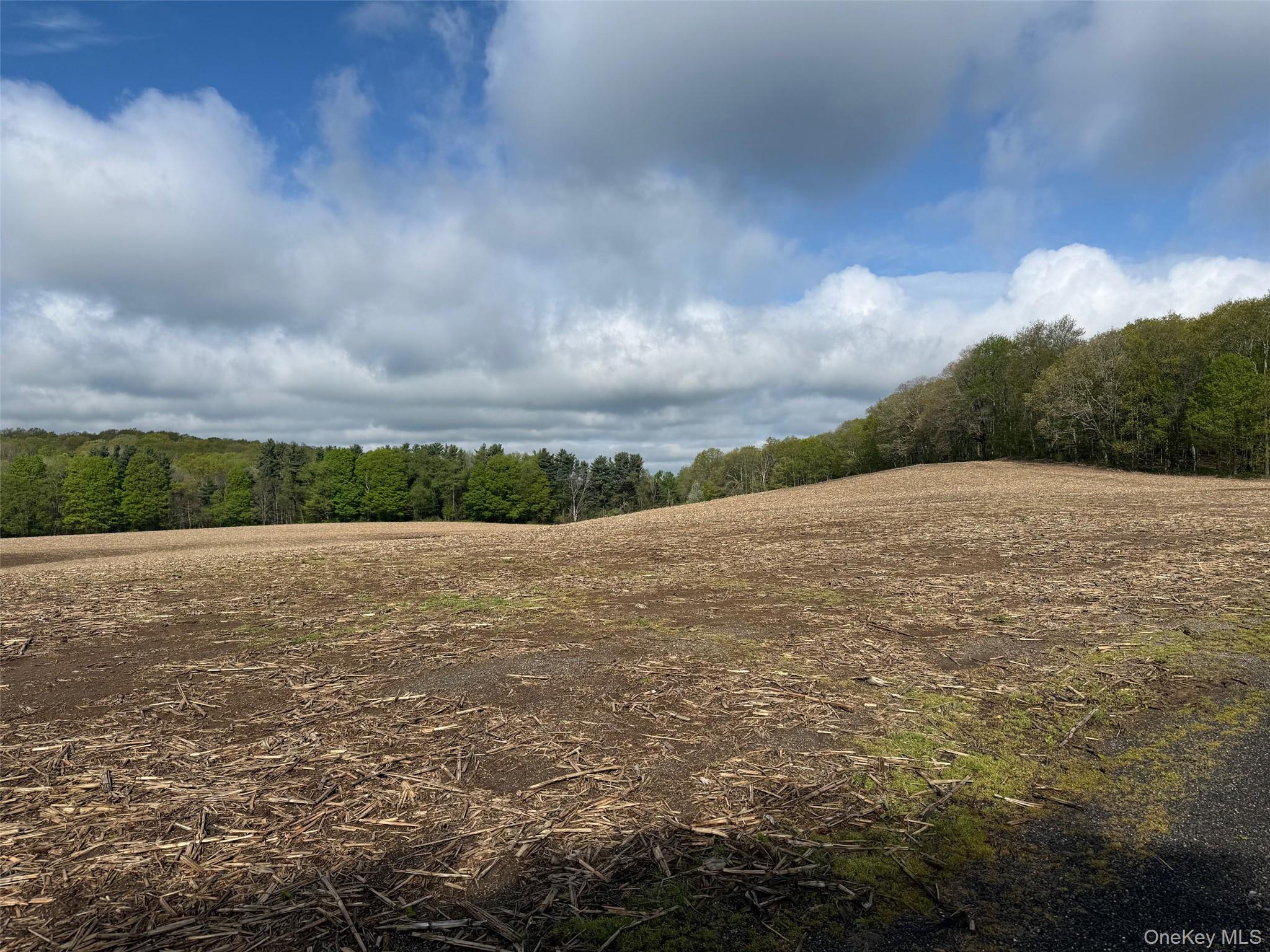 Skunks Misery Road Millerton, NY 12546 - Photo 6 of 23 a view of an lake