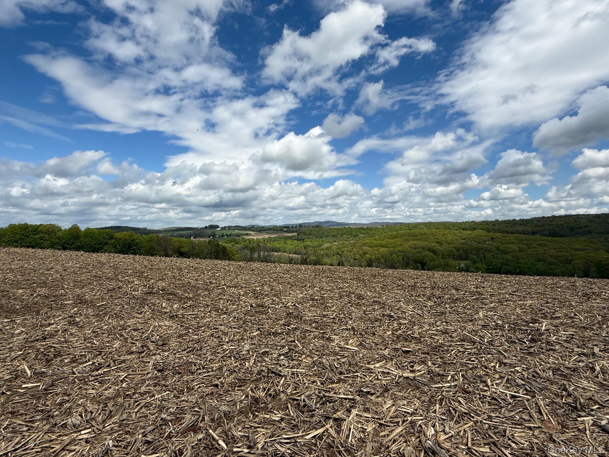 Skunks Misery Road Millerton, NY 12546 - Photo 7 of 23 a view of outdoor space and mountain