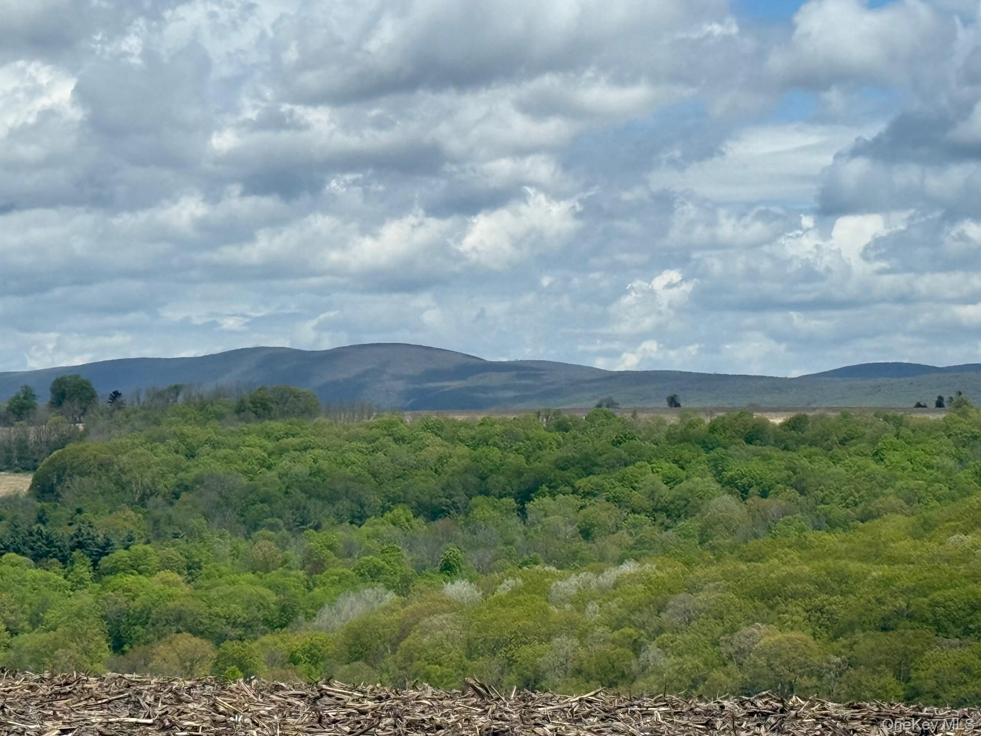 Skunks Misery Road Millerton, NY 12546 - Photo 8 of 23 a view of a bunch of trees and bushes