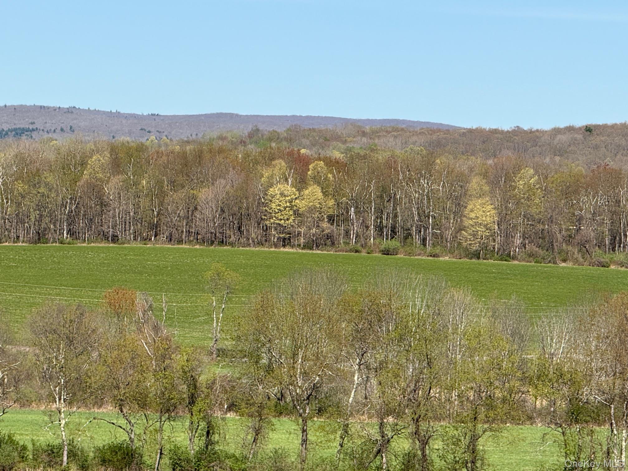 Skunks Misery Road Millerton, NY 12546 - Photo 10 of 23 a view of outdoor space with mountain view