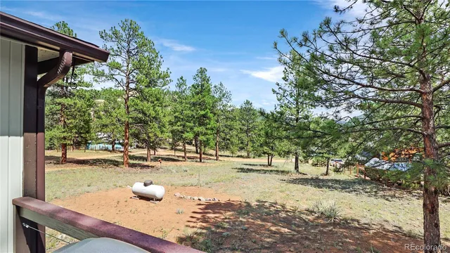 a view of a outdoor space with patio and trees