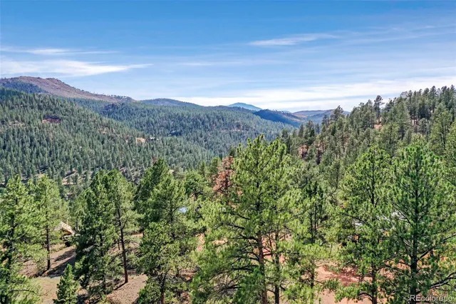 a view of a city with lush green forest