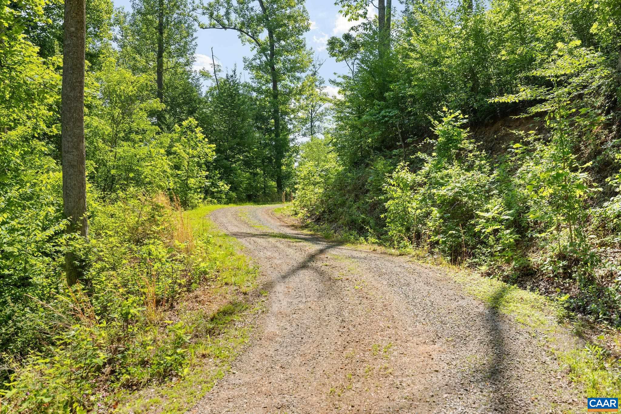 Tbd Poorhouse Road Charlottesville, VA 22903 - Photo 15 of 28 a view of a yard with plants