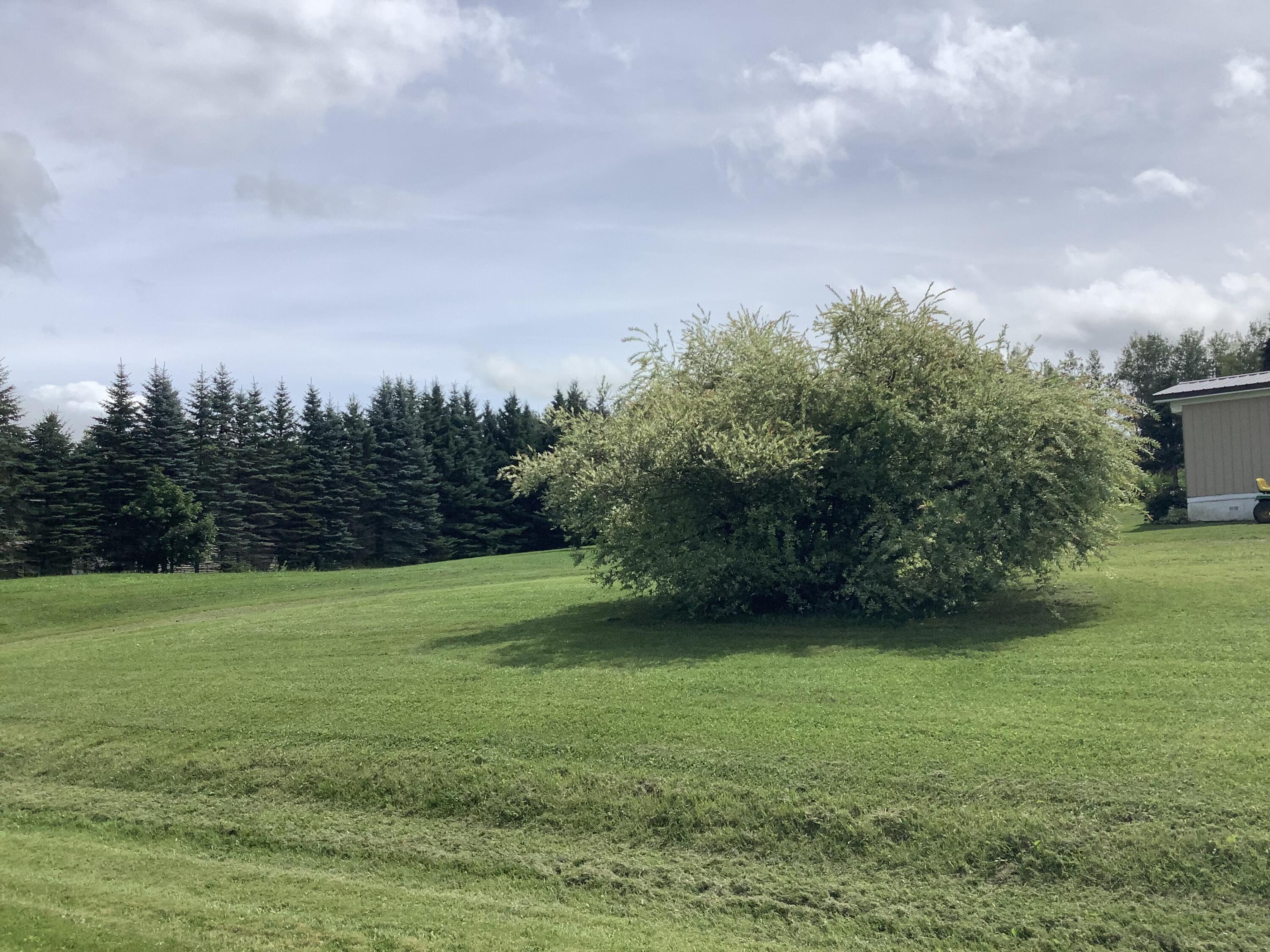 Undisclosed Address Caribou, ME 04736 - Photo 20 of 21 IMG_2972