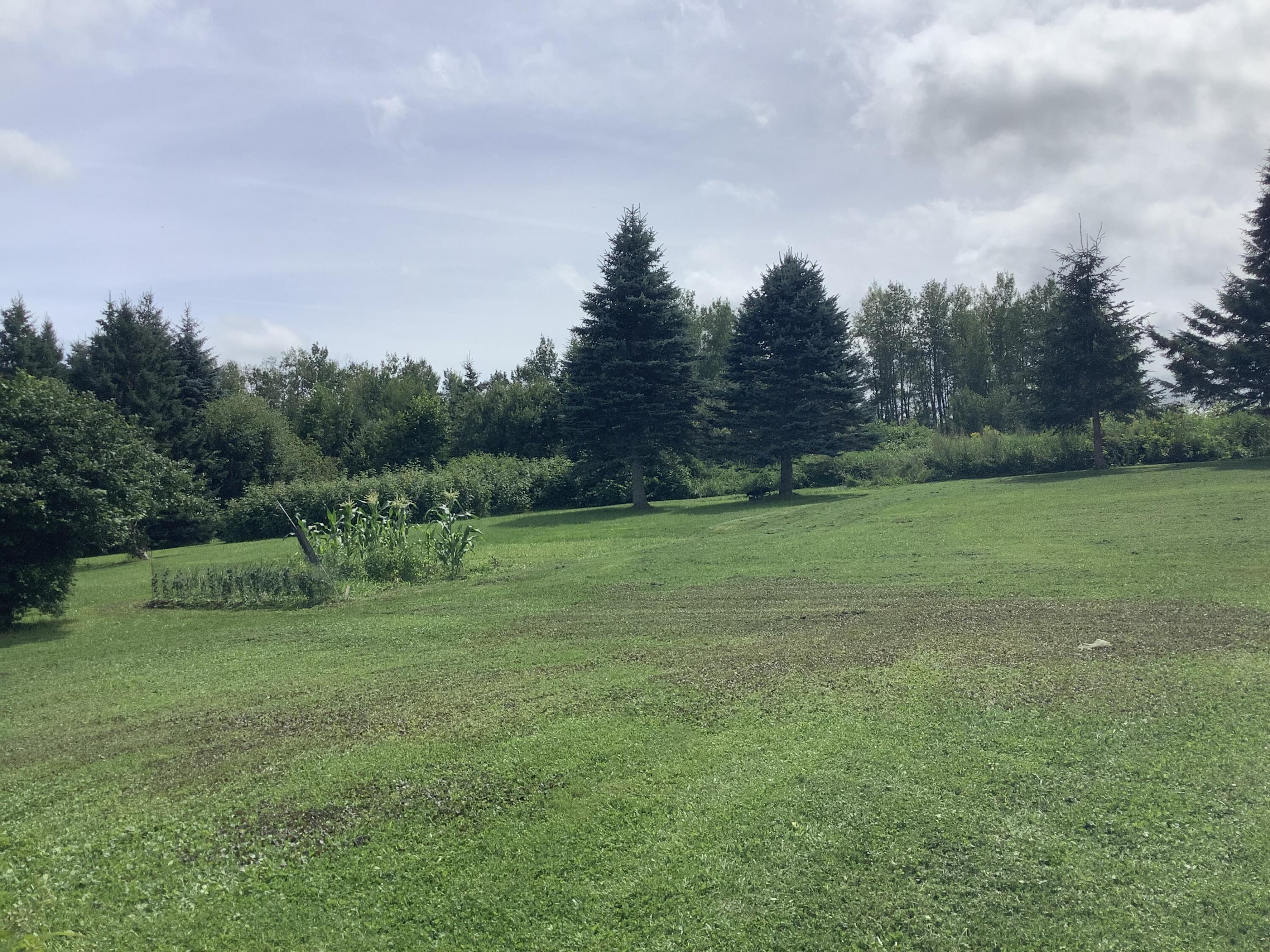 Undisclosed Address Caribou, ME 04736 - Photo 21 of 21 IMG_2974