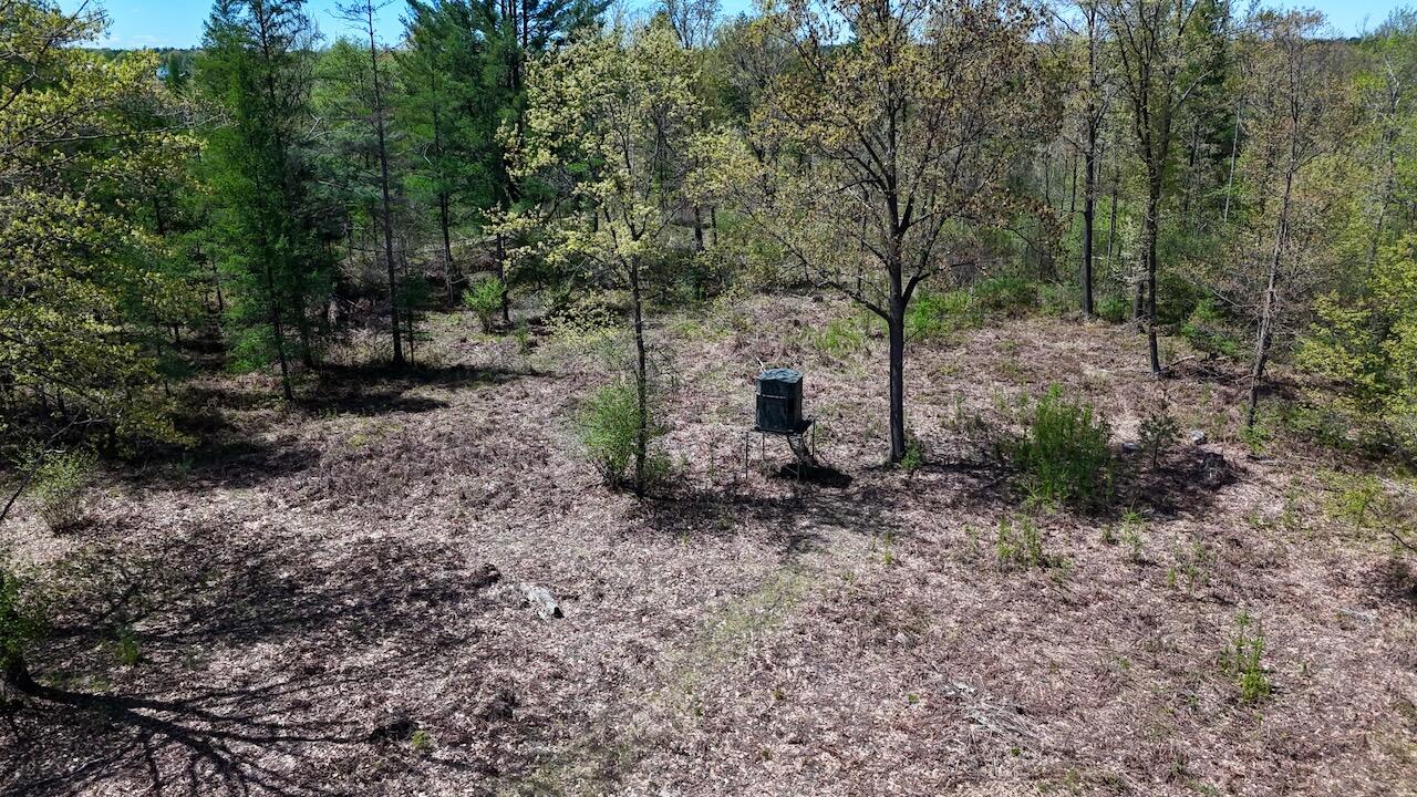 La Grant Road Alger, MI 48610 - Photo 12 of 46 008a