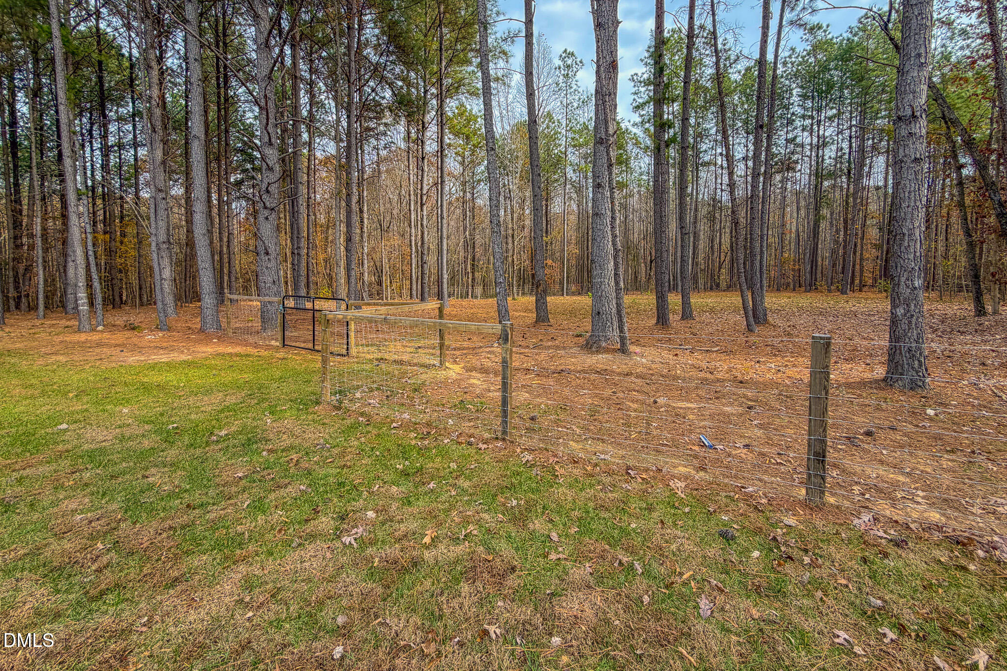 630 Clay Thomas Road Roxboro, NC 27573 - Photo 7 of 46 a swimming pool with trees in the background