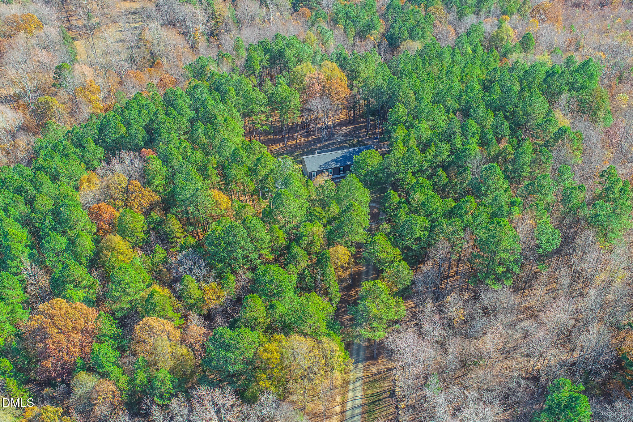 630 Clay Thomas Road Roxboro, NC 27573 - Photo 8 of 46 a backyard of a house with lots of green space