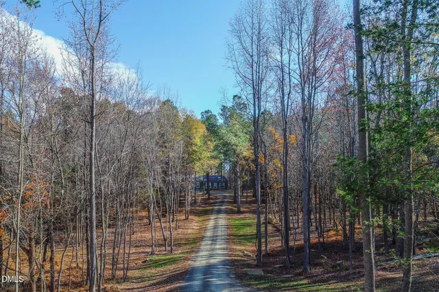 a view of a yard with trees