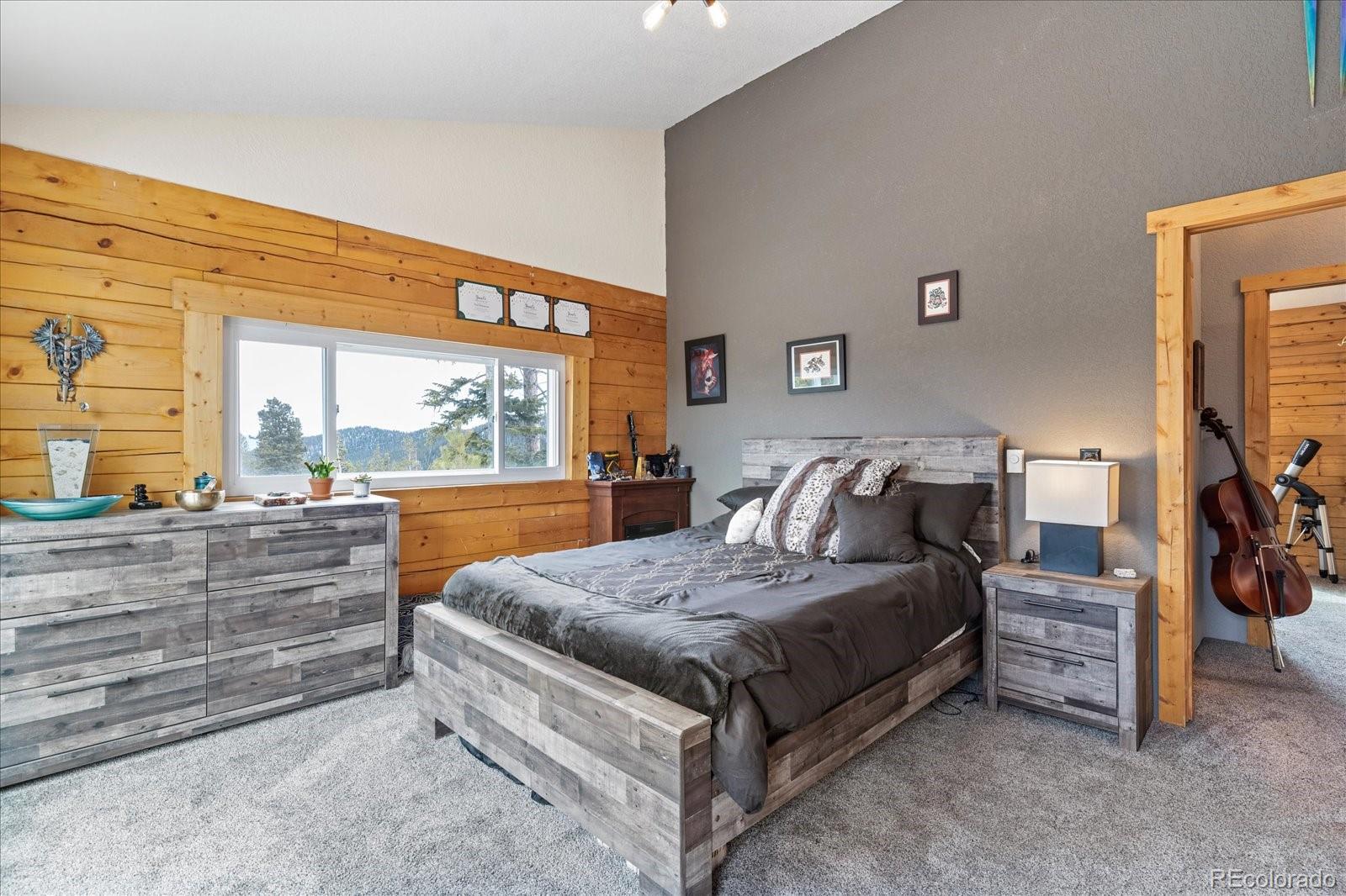 1353 Alice Road Idaho Springs, CO 80452 - Photo 22 of 32 Gallery Image 22