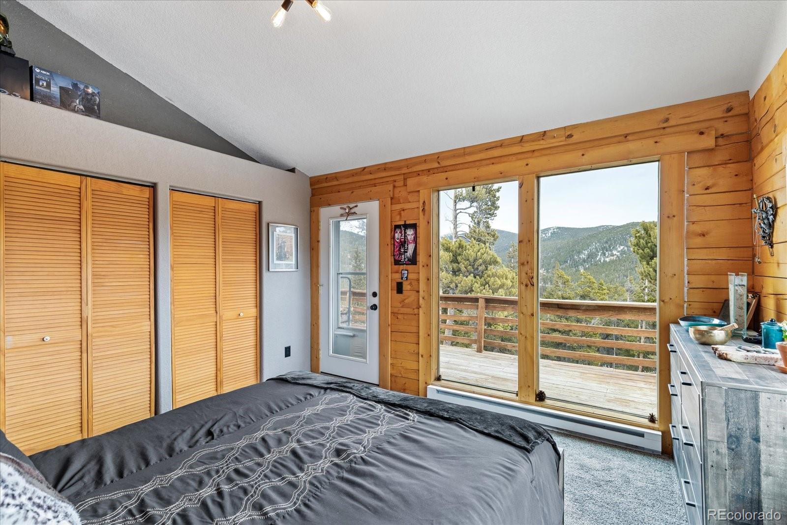 1353 Alice Road Idaho Springs, CO 80452 - Photo 24 of 32 Gallery Image 24