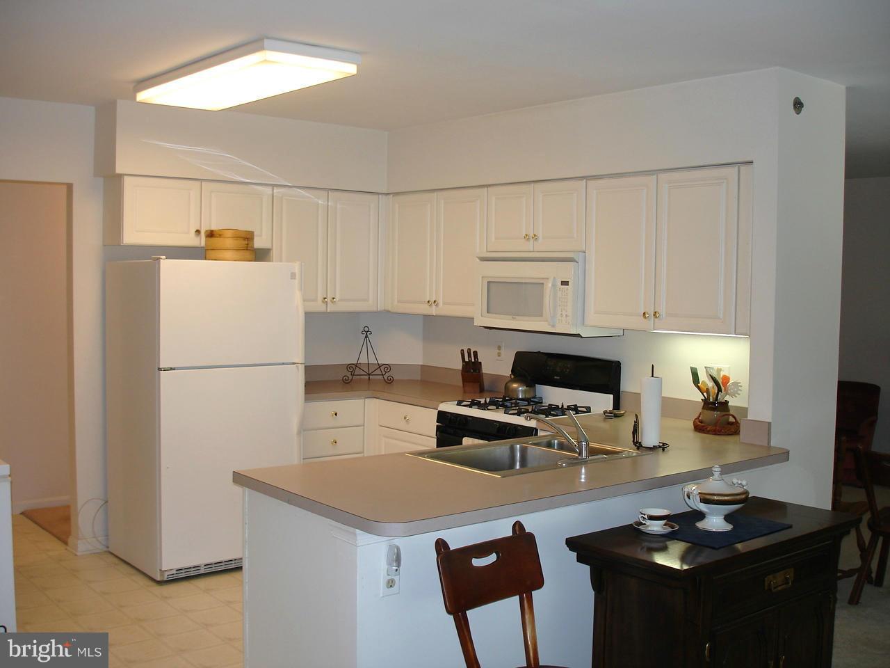 413 Rockfleet Road, Unit 101 Lutherville-Timonium, MD 21093 - Photo 4 of 27 COMPLETE WITH OVERHANG FOR COUNTER EATING