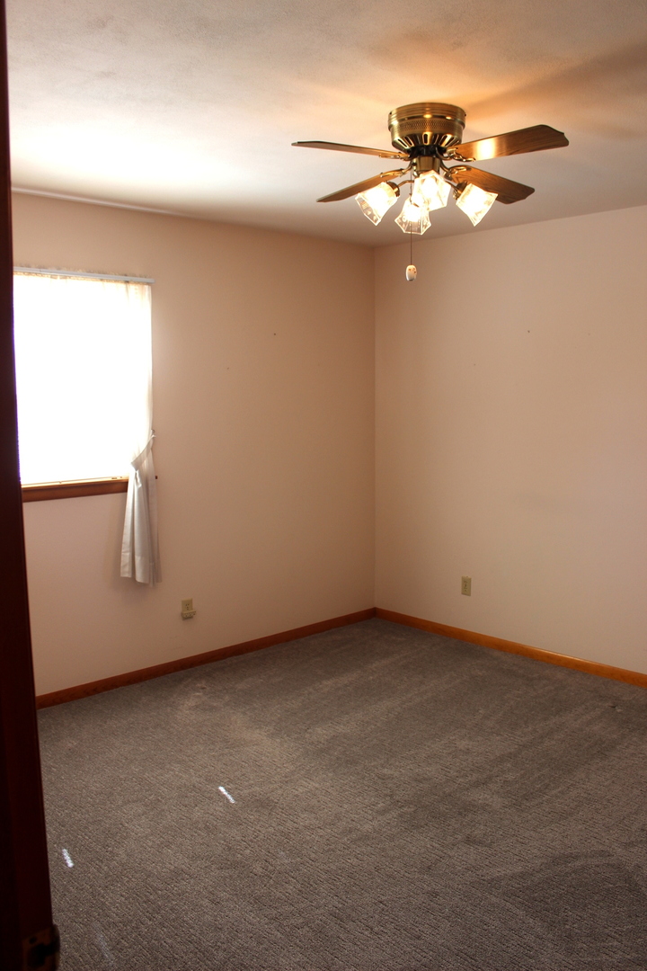 509 High Street Alma, IL 62807 - Photo 20 of 32 Gallery Image 20