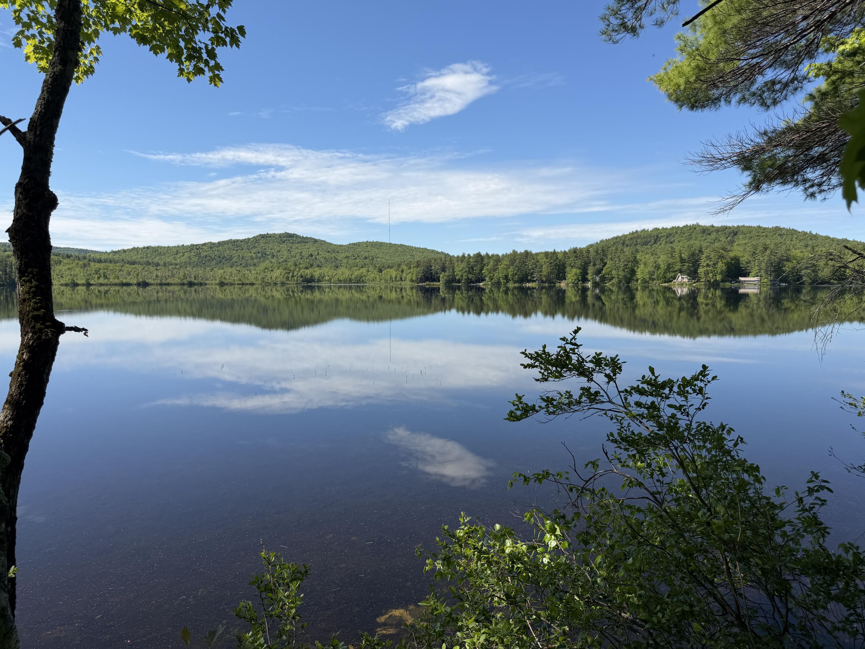 0 Hogfat Hill Road Sebago, ME 04029 - Photo 11 of 60 IMG_3190
