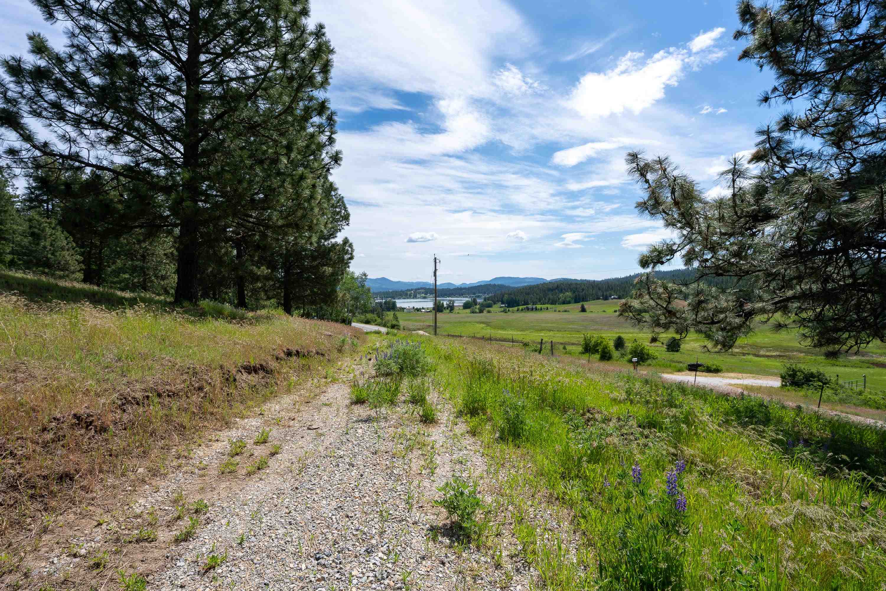 3474 D Waitts Lake Road Valley, WA 99181 - Photo 41 of 45