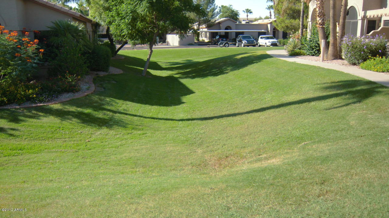 14300 West Bell Road, Unit 494 Surprise, AZ 85374 - Photo 11 of 11 View From Patio