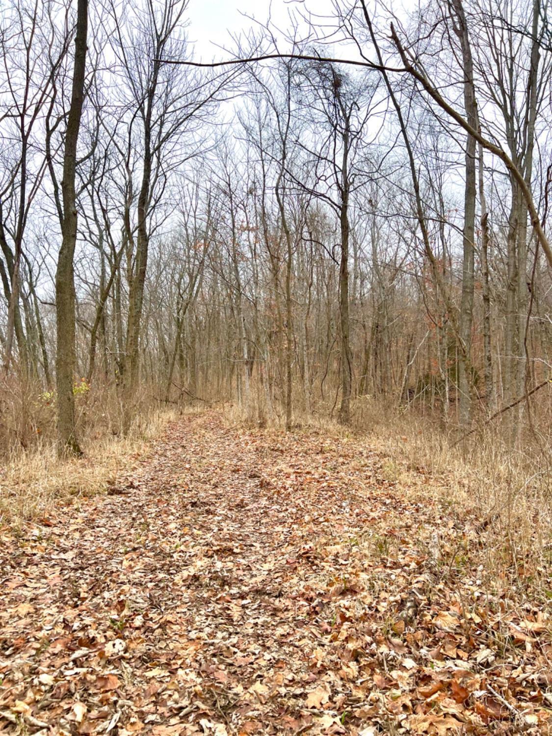 1 Stringtown Road Aberdeen, OH 45101 - Photo 47 of 50