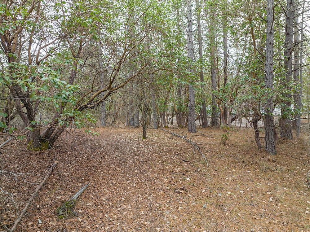 0 Queens Branch Road Rogue River, OR 97537 - Photo 15 of 36 15