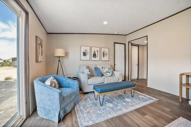 a living room with furniture and a rug