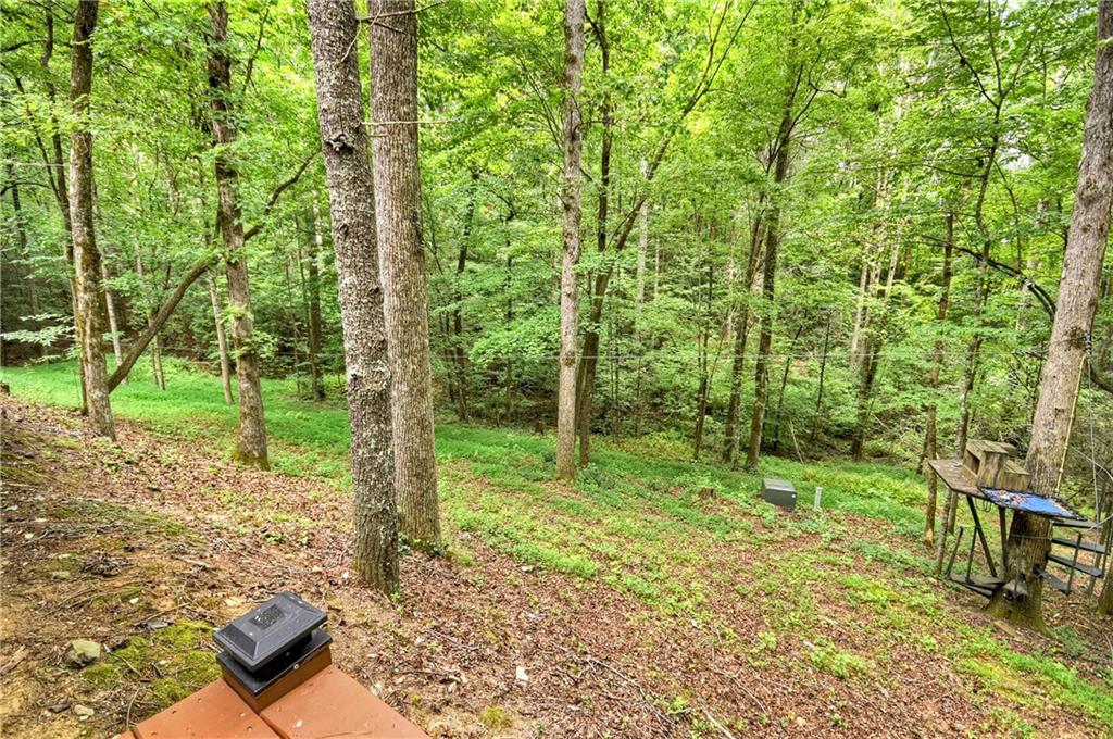 2587 Goose Island Road Ellijay, GA 30540 - Photo 12 of 55