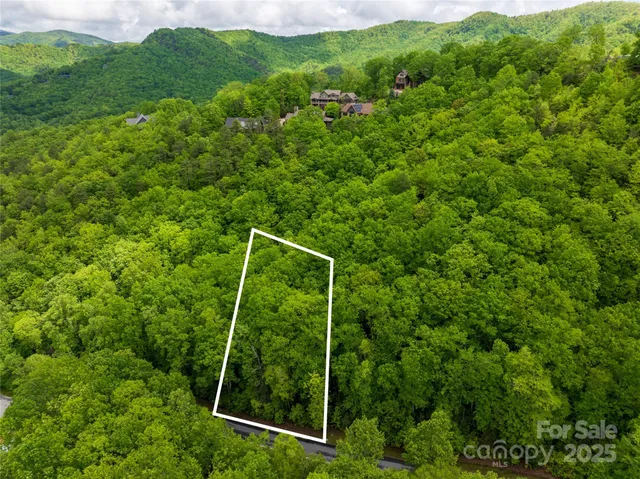 a view of a backyard with plants