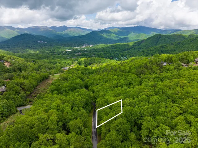 a view of a lush green forest with trees in the background
