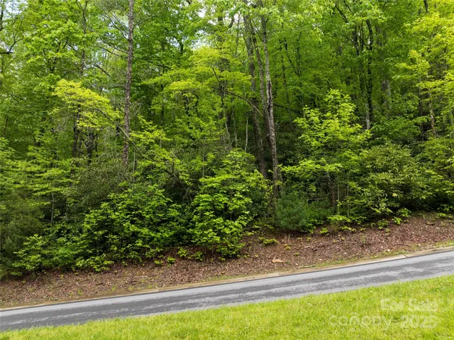 a view of a yard with potted plants