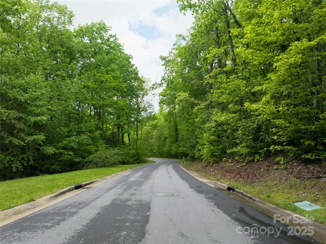 a view of a plant in a garden
