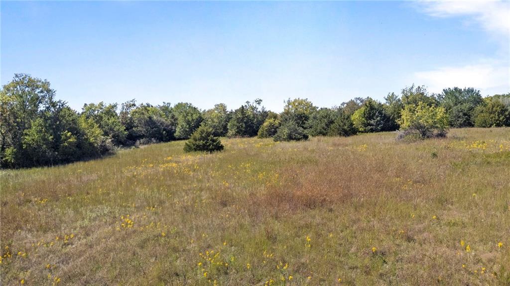 South Kill Creek Road Spring Hill, KS 66083 - Photo 6 of 29