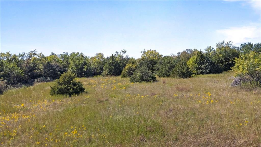 South Kill Creek Road Spring Hill, KS 66083 - Photo 7 of 29