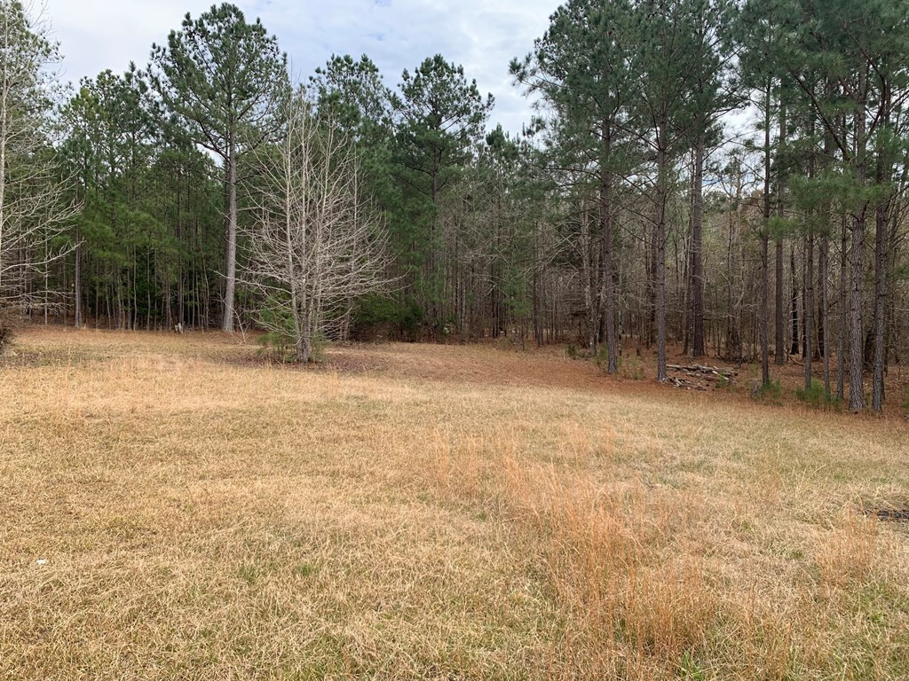 1213 Cedar Road Lincolnton, GA 30817 - Photo 18 of 18 Gallery Image 18