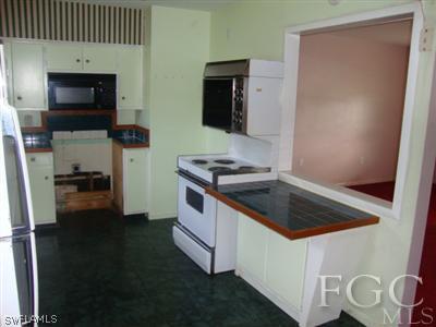 2301 Lotus Road Fort Myers, FL 33905 - Photo 4 of 10 a kitchen with a stove and a microwave