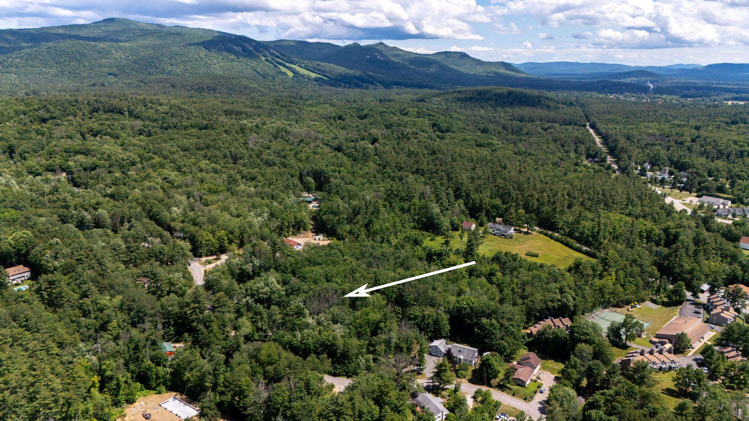 0 Skyline Drive Intervale, NH 03845 - Photo 2 of 9