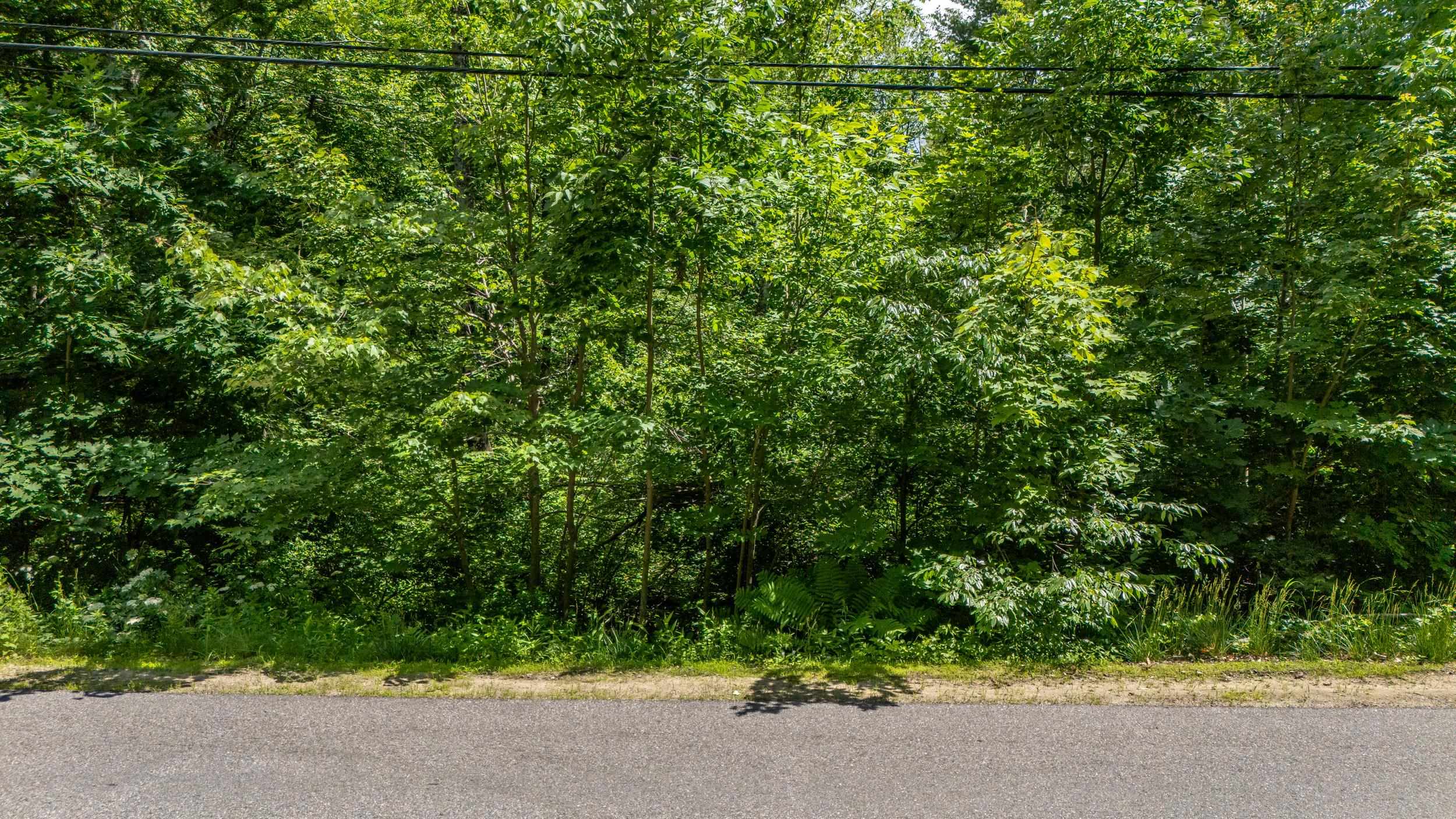 0 Skyline Drive Intervale, NH 03845 - Photo 3 of 9