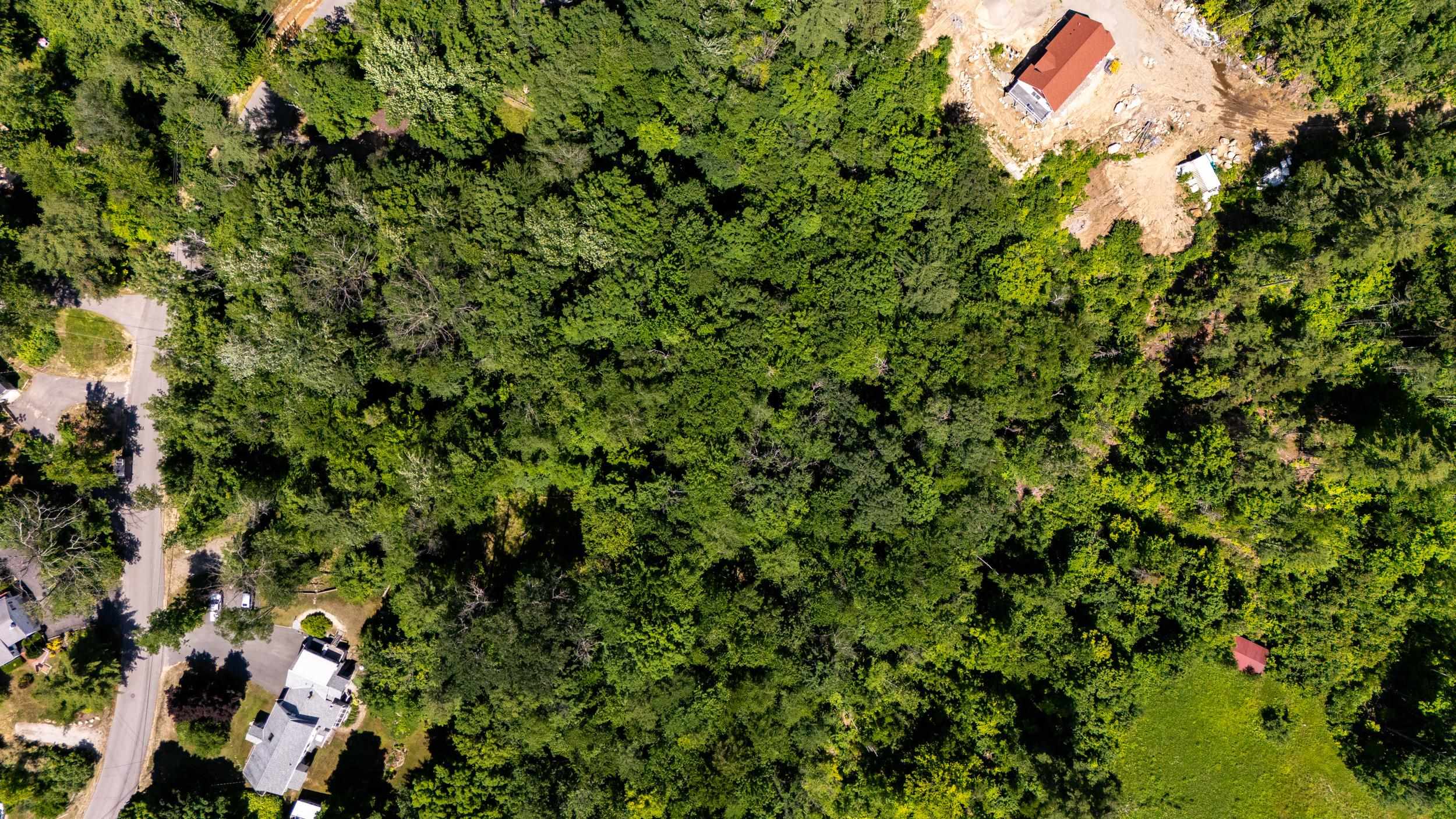 0 Skyline Drive Intervale, NH 03845 - Photo 7 of 9