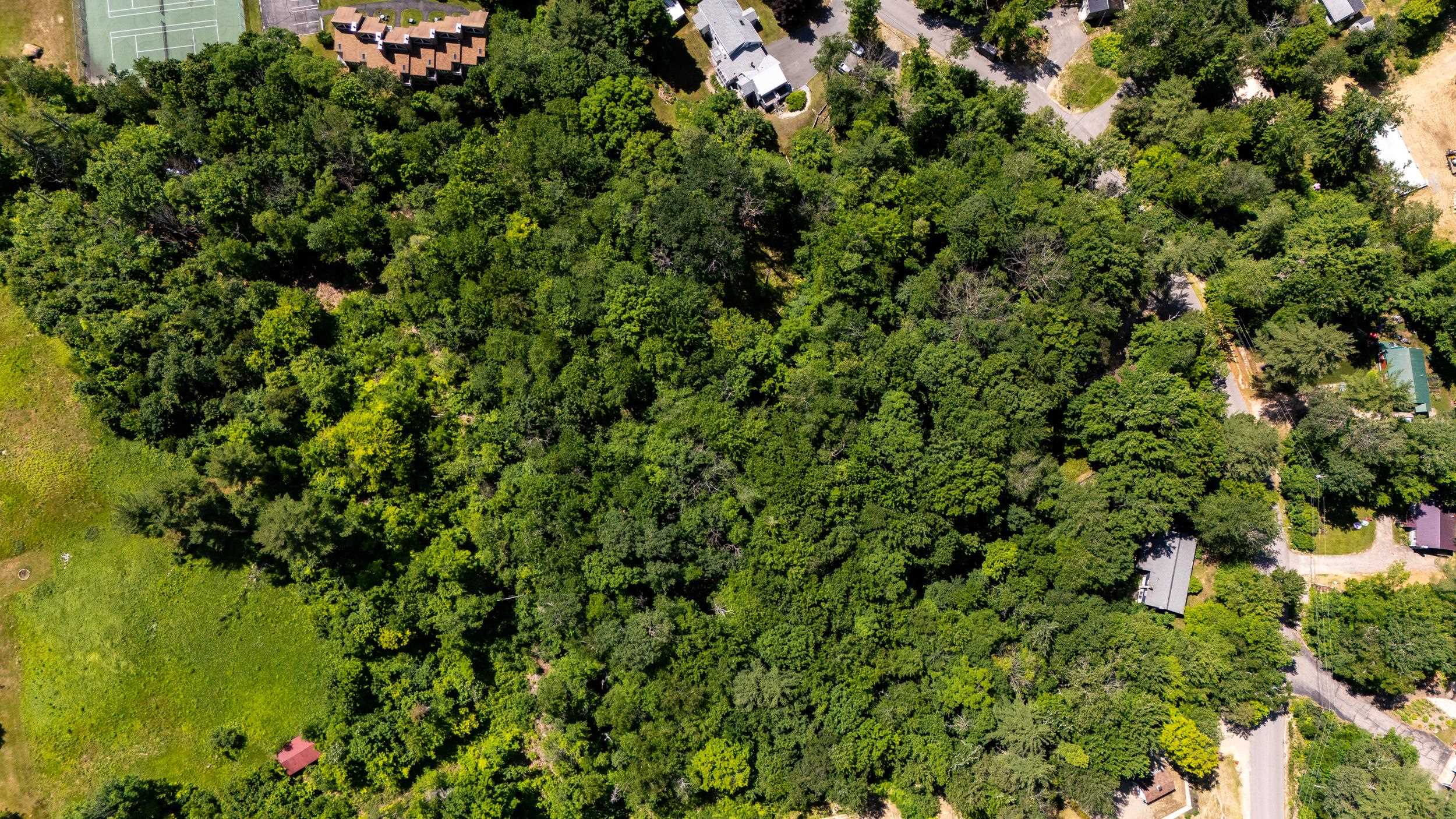 0 Skyline Drive Intervale, NH 03845 - Photo 8 of 9