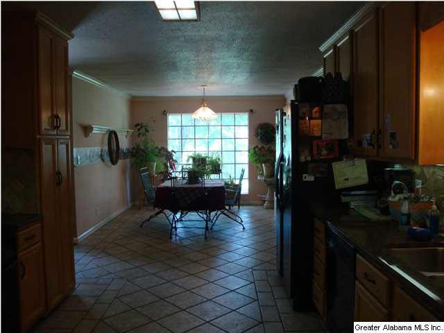 9437 Mosley Loop Road Morris, AL 35116 - Photo 6 of 21