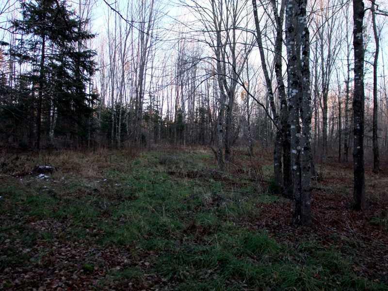Lot 2 Brown Road Oakfield, ME 04763 - Photo 12 of 31 Land.