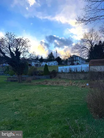 a view of yard with green space