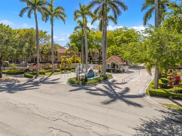 a view of small yard with palm trees