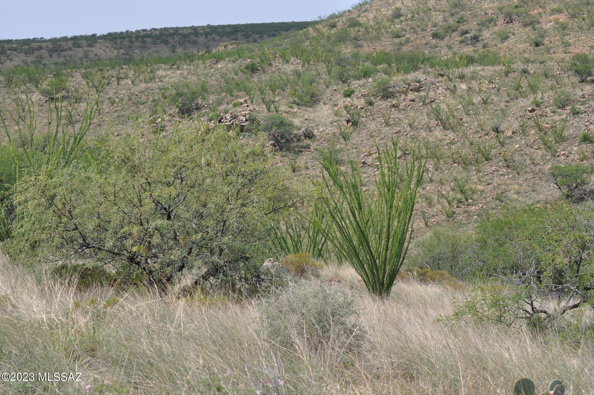 Tbd Calle Noche Court, Unit 50/2 Rio Rico, AZ 85648 - Photo 16 of 32