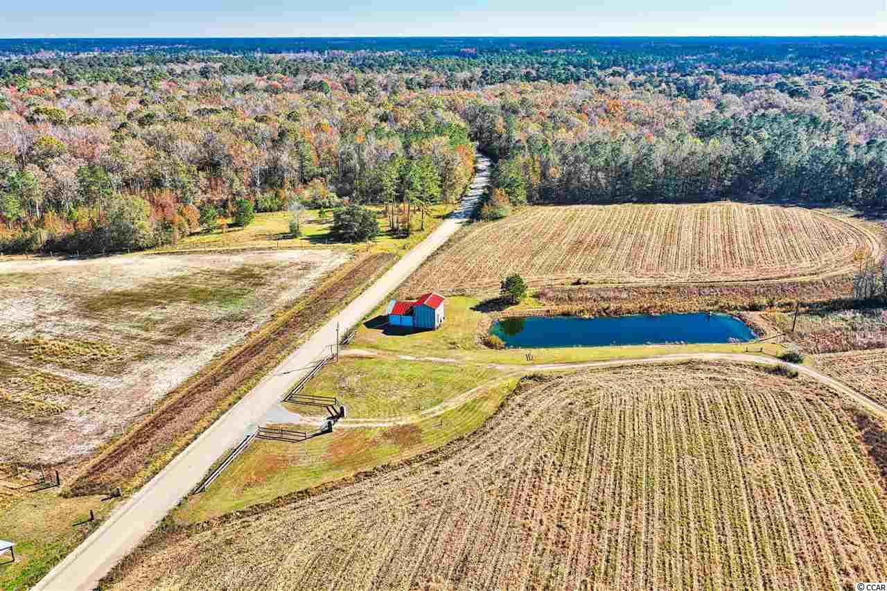 1342 Hardee Road Loris, SC 29569 - Photo 16 of 38 Gallery Image 16