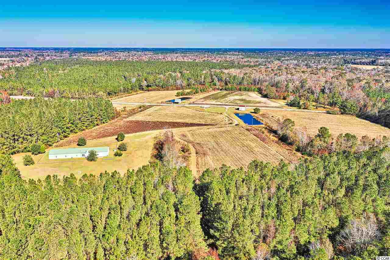 1342 Hardee Road Loris, SC 29569 - Photo 18 of 38 Gallery Image 18