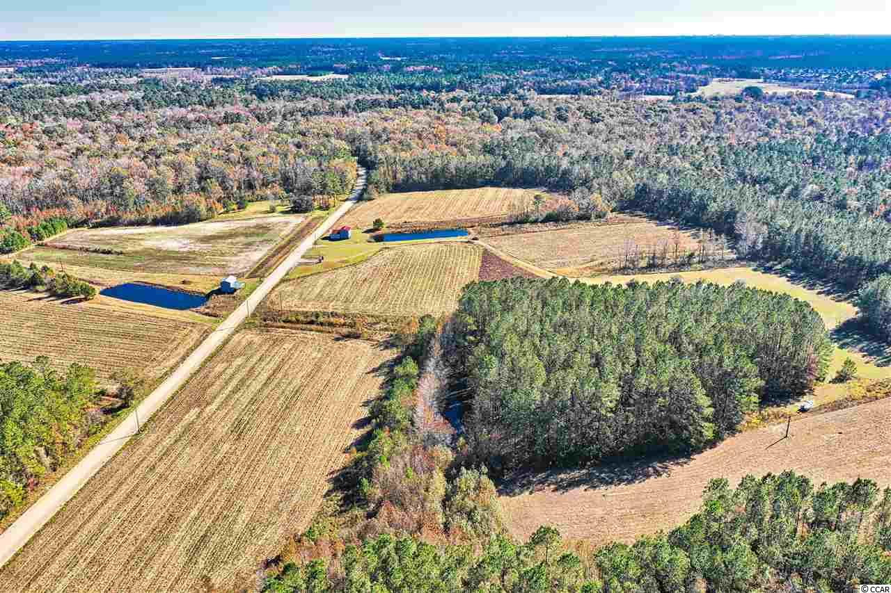 1342 Hardee Road Loris, SC 29569 - Photo 20 of 38 Gallery Image 20