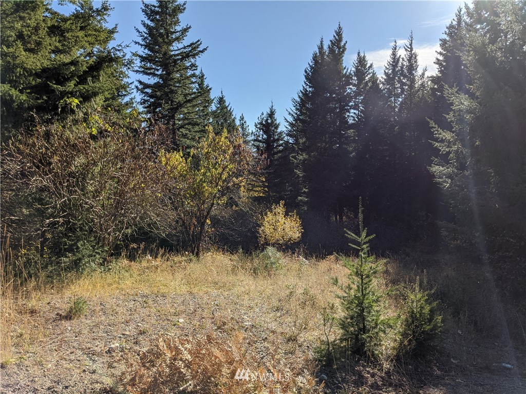 1 Bakers Road Ronald, WA 98940 - Photo 1 of 17 Gallery Image 1