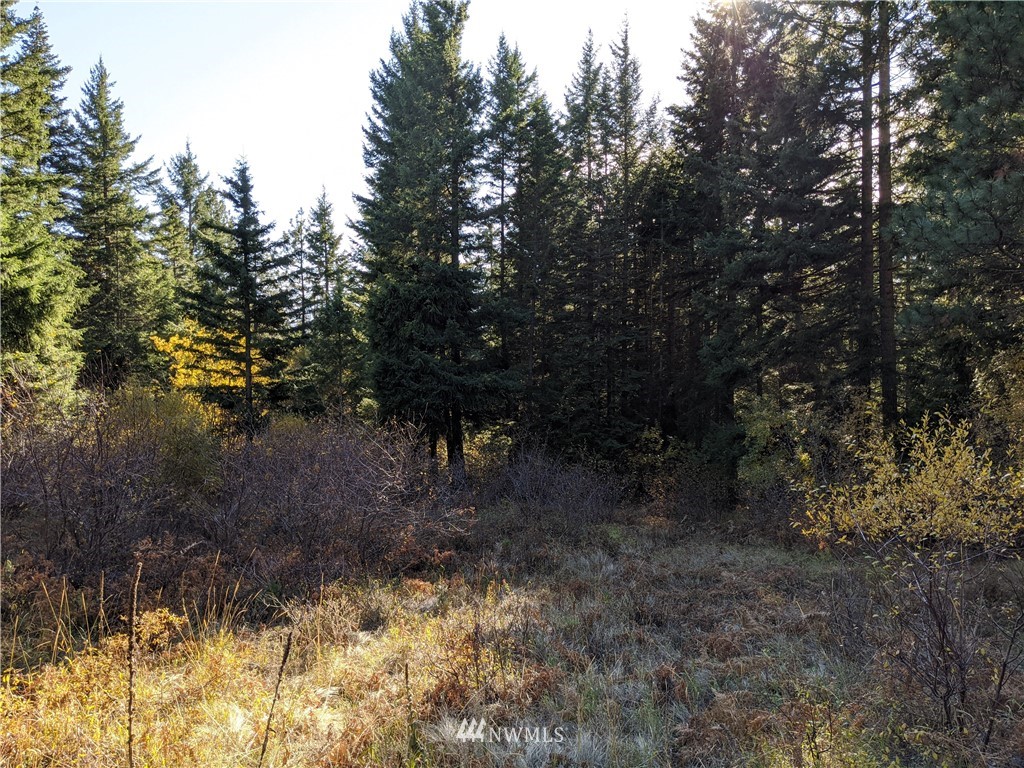 1 Bakers Road Ronald, WA 98940 - Photo 2 of 17 Gallery Image 2